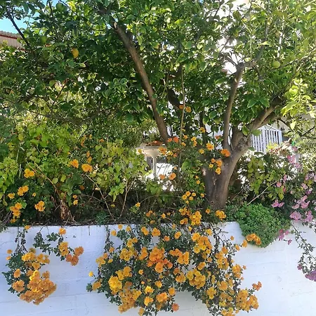 Apartment Katy's House Center *