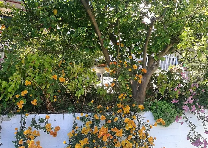 公寓 Katy's House Center *