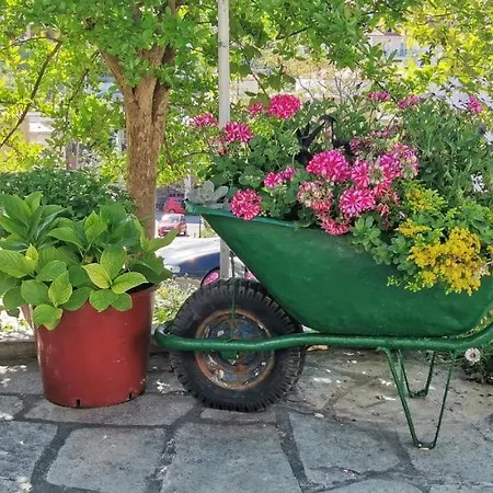 Katy's House Center Apartman *