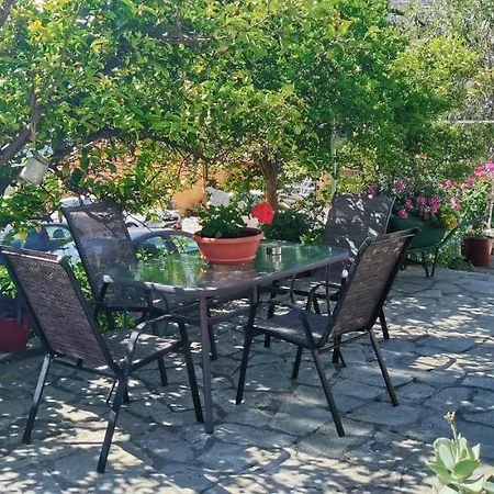 Katy's House Center * Néosz Marmarász