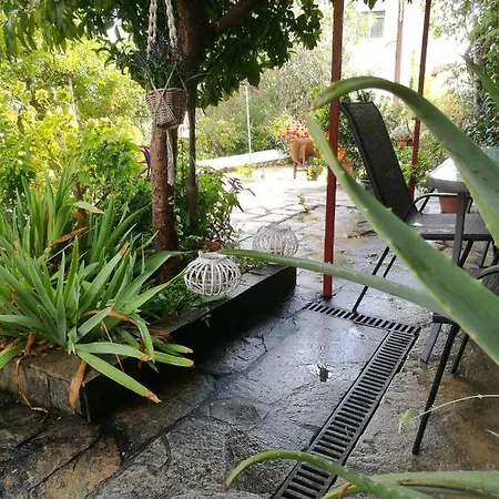 Katy's House Center * Néosz Marmarász